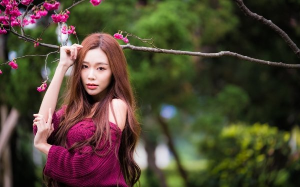 Women Asian Model Depth Of Field Brunette Long Hair HD Wallpaper | Background Image