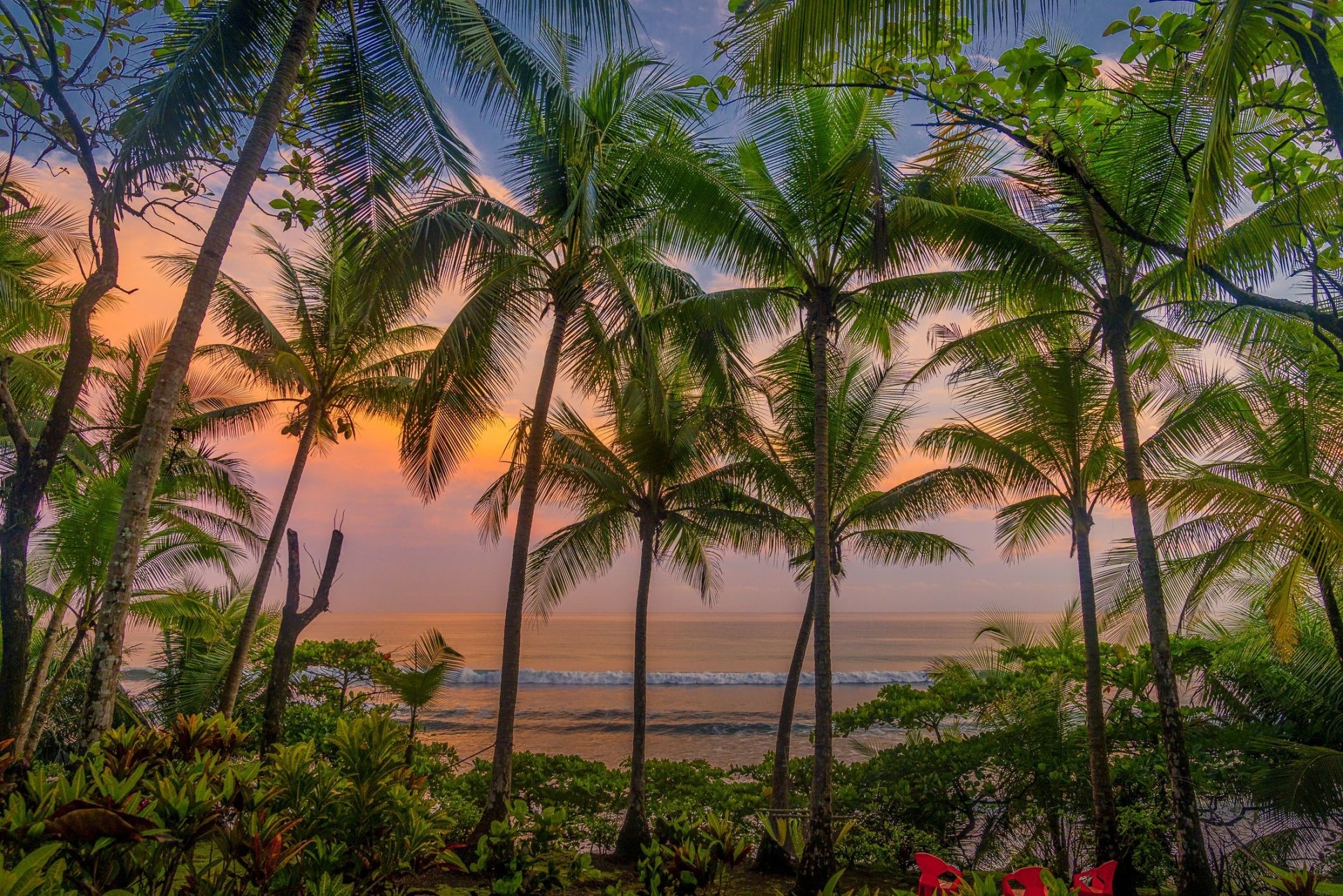 HD PC desktop wallpaper and background of a tropical nature scene: tall palm trees and lush foliage framing a calm ocean at sunset with an orange-pink sky.