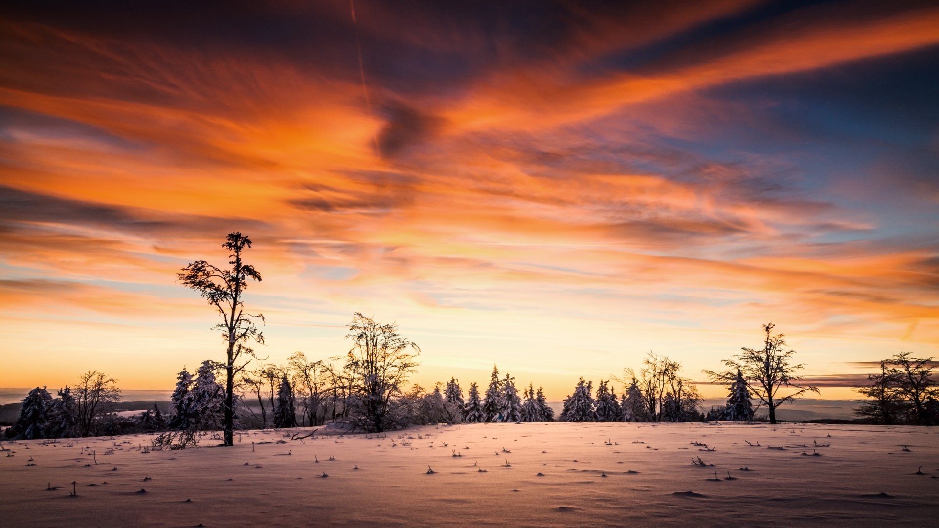 Nature 2K Quad HD PC desktop wallpaper: winter sunset over a snowy field with silhouetted trees and a dramatic orange-pink sky.