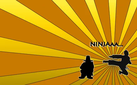  NINJAAAA