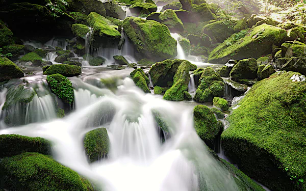 4K Ultra HD PC desktop wallpaper showing a moss-draped woodland waterfall and silky stream winding over green rocks — serene nature scene.