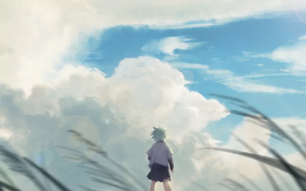 A serene HD wallpaper featuring Killua Zoldyck from the anime Hunter x Hunter, standing in a grassy field under a vibrant sky filled with fluffy clouds.