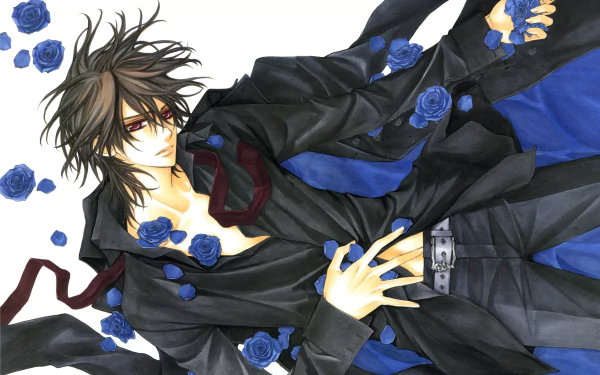 Kaname Kuran Anime Vampire Knight HD Desktop Wallpaper | Background Image