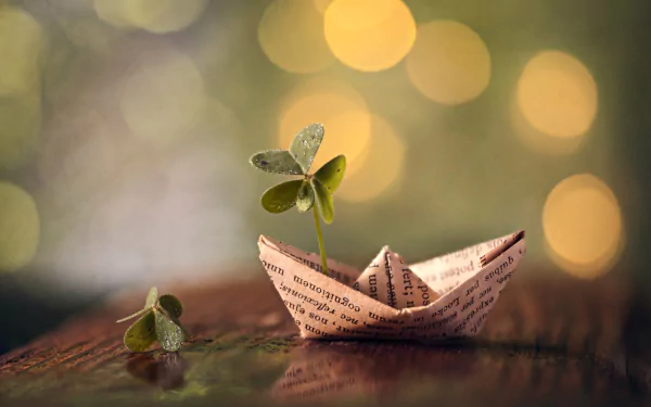 paper boat bokeh clover macro man made origami HD Desktop Wallpaper | Background Image
