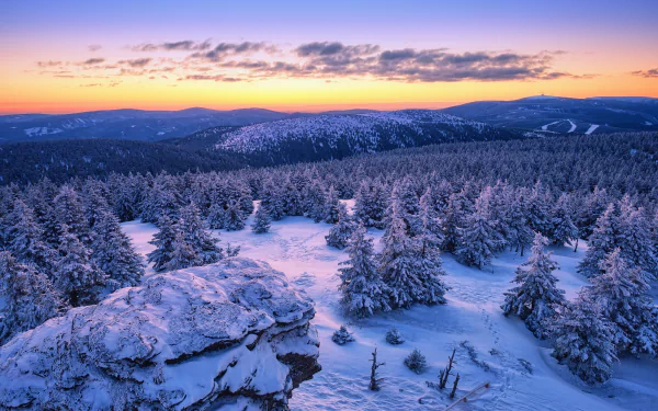 HD desktop wallpaper of a snowy mountain landscape in the Czech Republic, featuring a winter forest at sunset with vibrant colors and snow-covered trees.