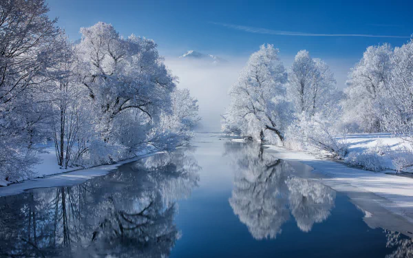 Winter scene of Lake Kochel in Bavaria, with snow-covered trees reflecting on the calm river under a clear blue sky.