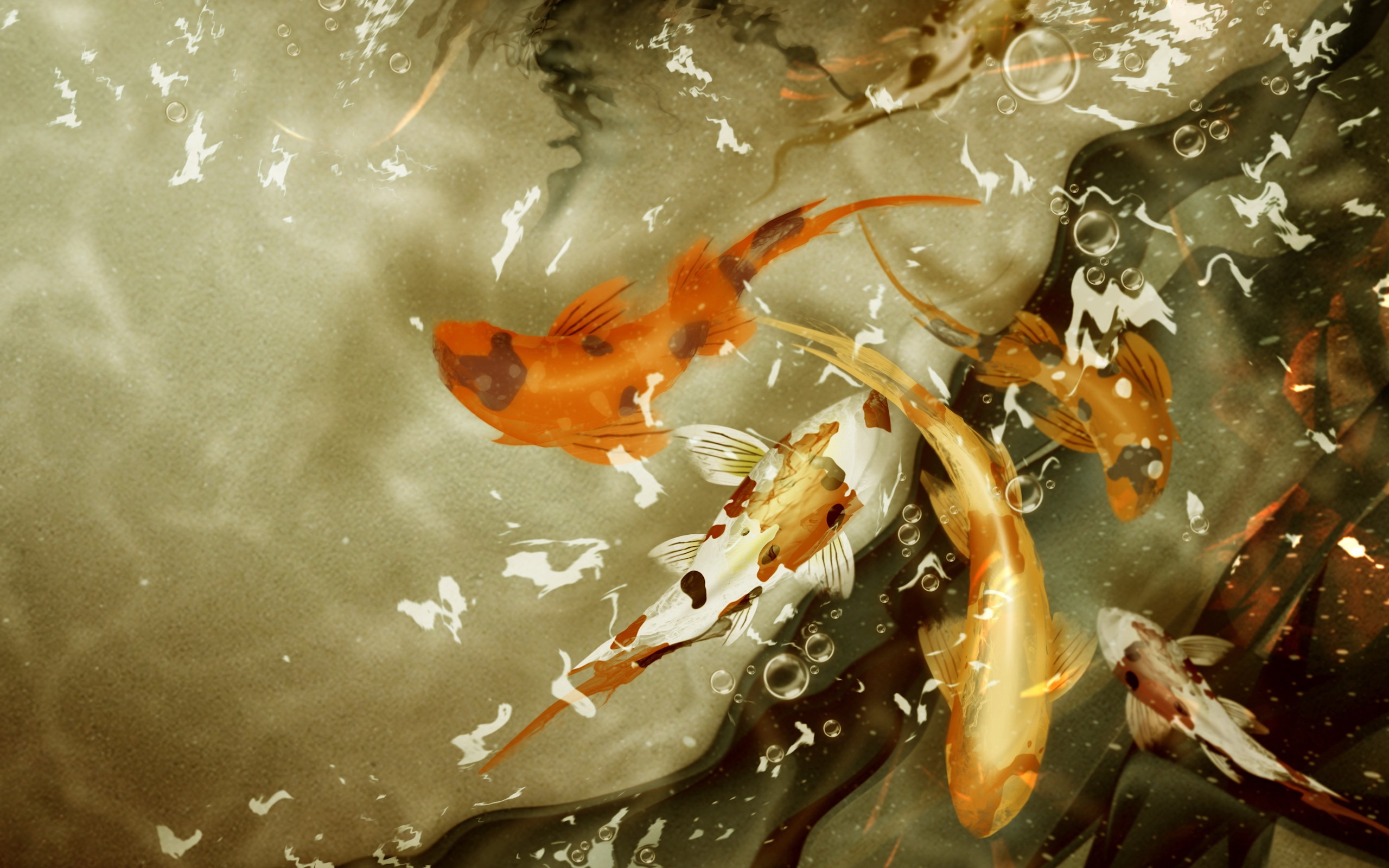 A tranquil desktop wallpaper featuring a beautiful Koi fish.