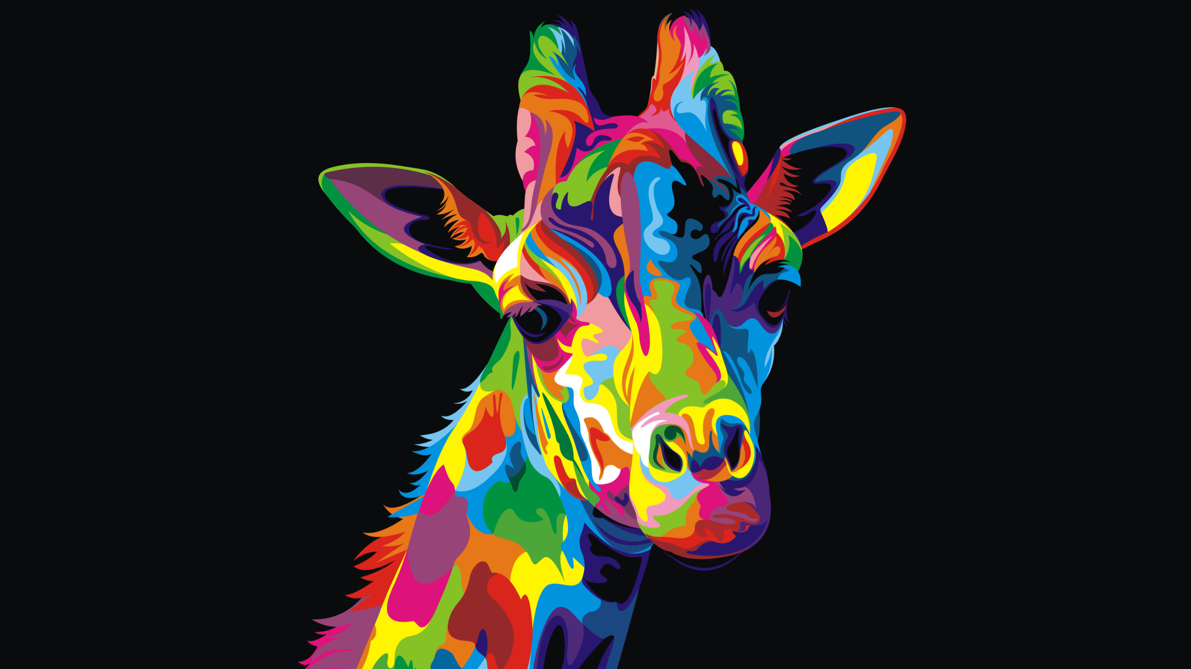 colorful giraffe wallpaper