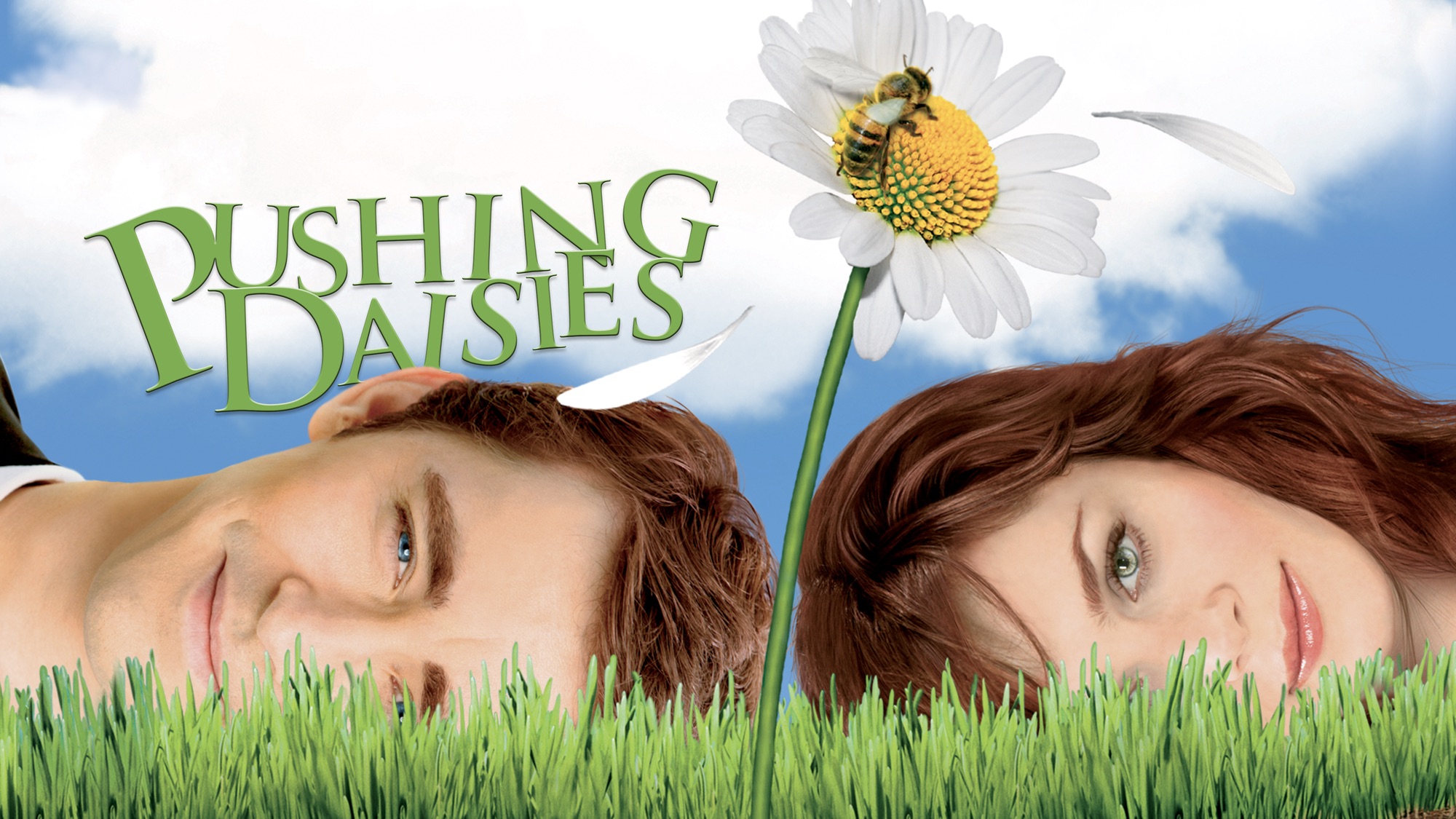TV Show Pushing Daisies HD Wallpaper | Background Image