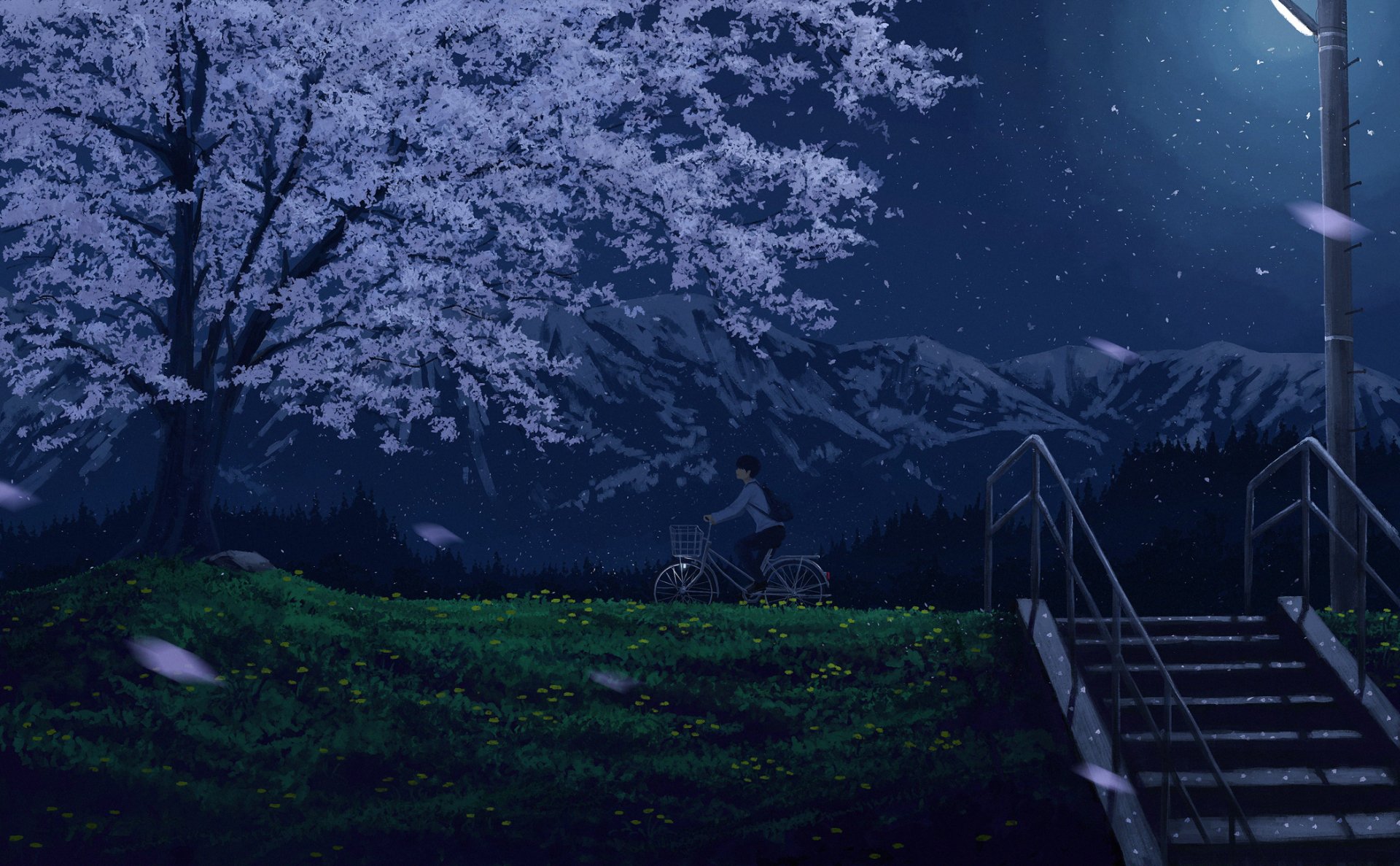 Anime boy sitting on a bike under a blooming tree at night, with falling petals and mountains in the background, depicted in a detailed HD PC desktop wallpaper style.