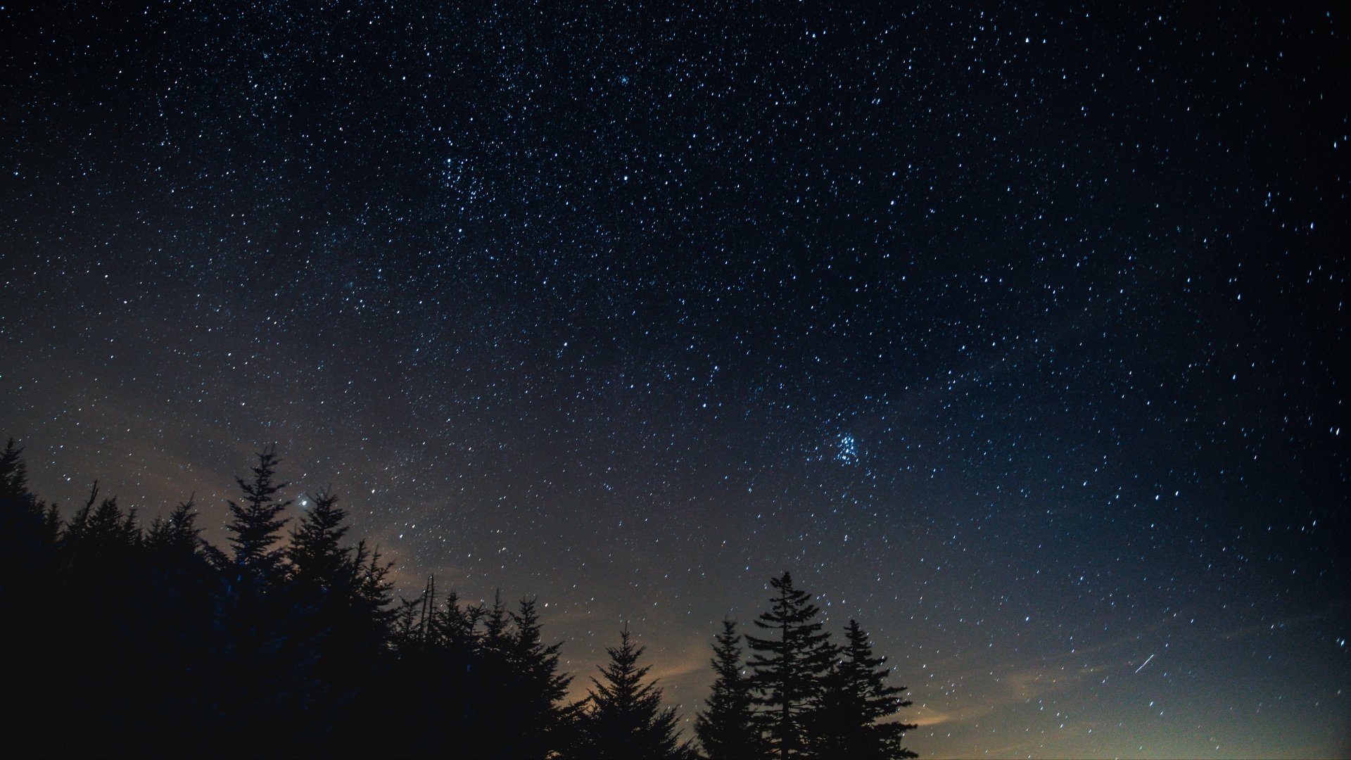 A 4K Ultra HD desktop wallpaper showing a clear night sky filled with stars above silhouetted trees in a natural landscape.