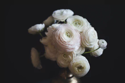  Bouquet Of White Flowers