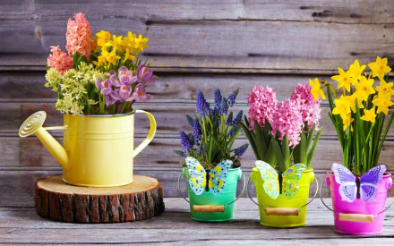 potted plant man made flower HD Desktop Wallpaper | Background Image