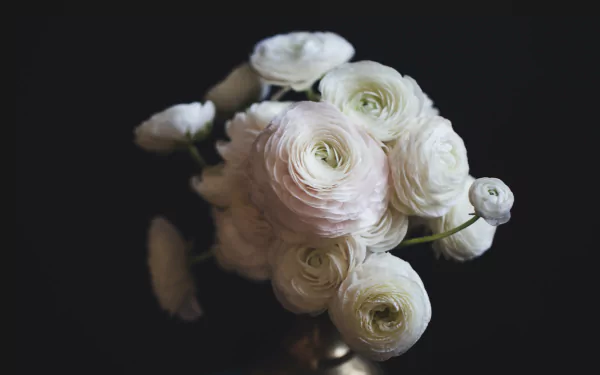  Bouquet Of White Flowers