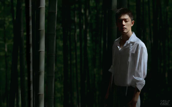 Celebrity Xiao Zhan HD Desktop Wallpaper | Background Image