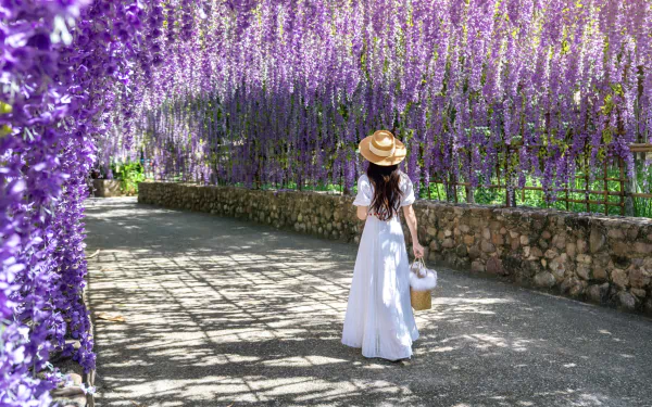  Girl under Wisteria by tawatchai07