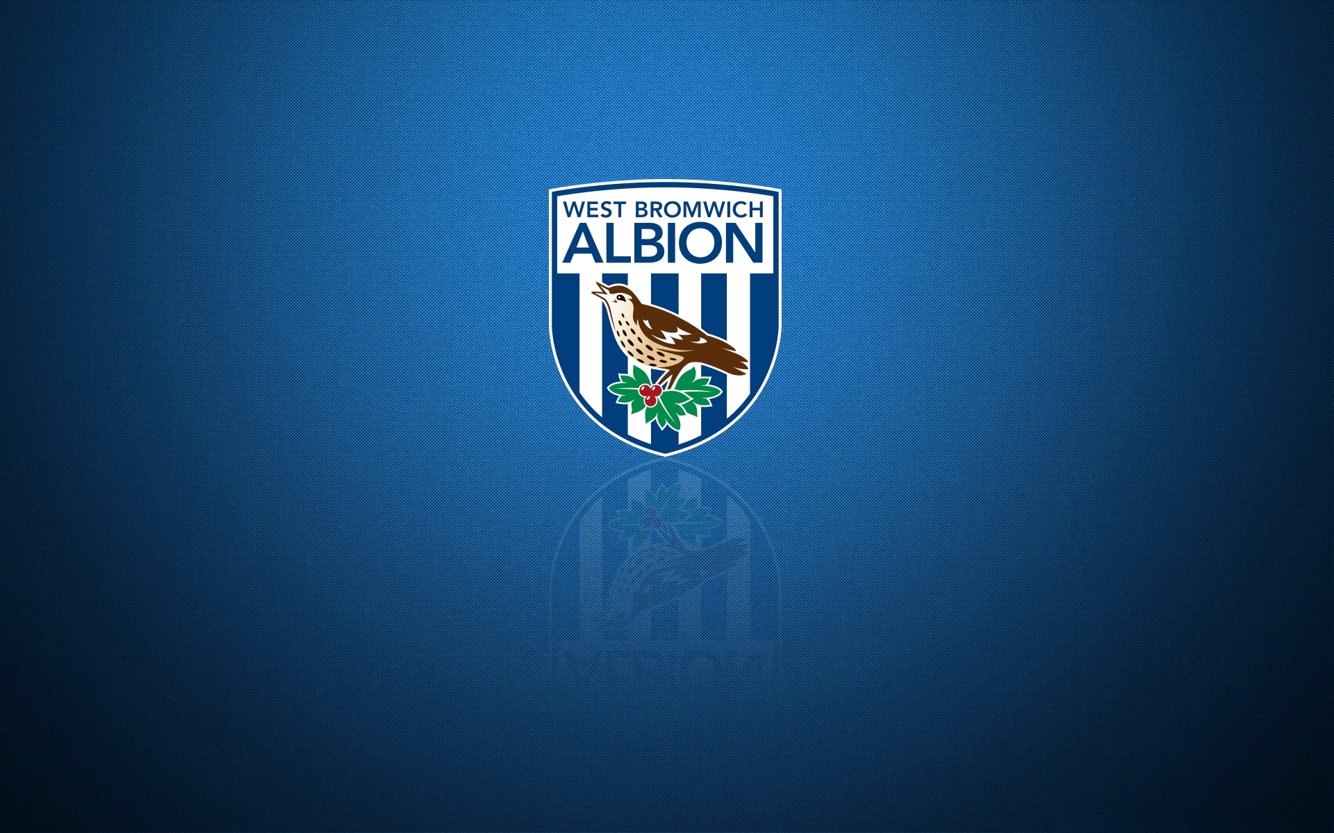 Sports West Bromwich Albion F.C. HD Wallpaper | Background Image