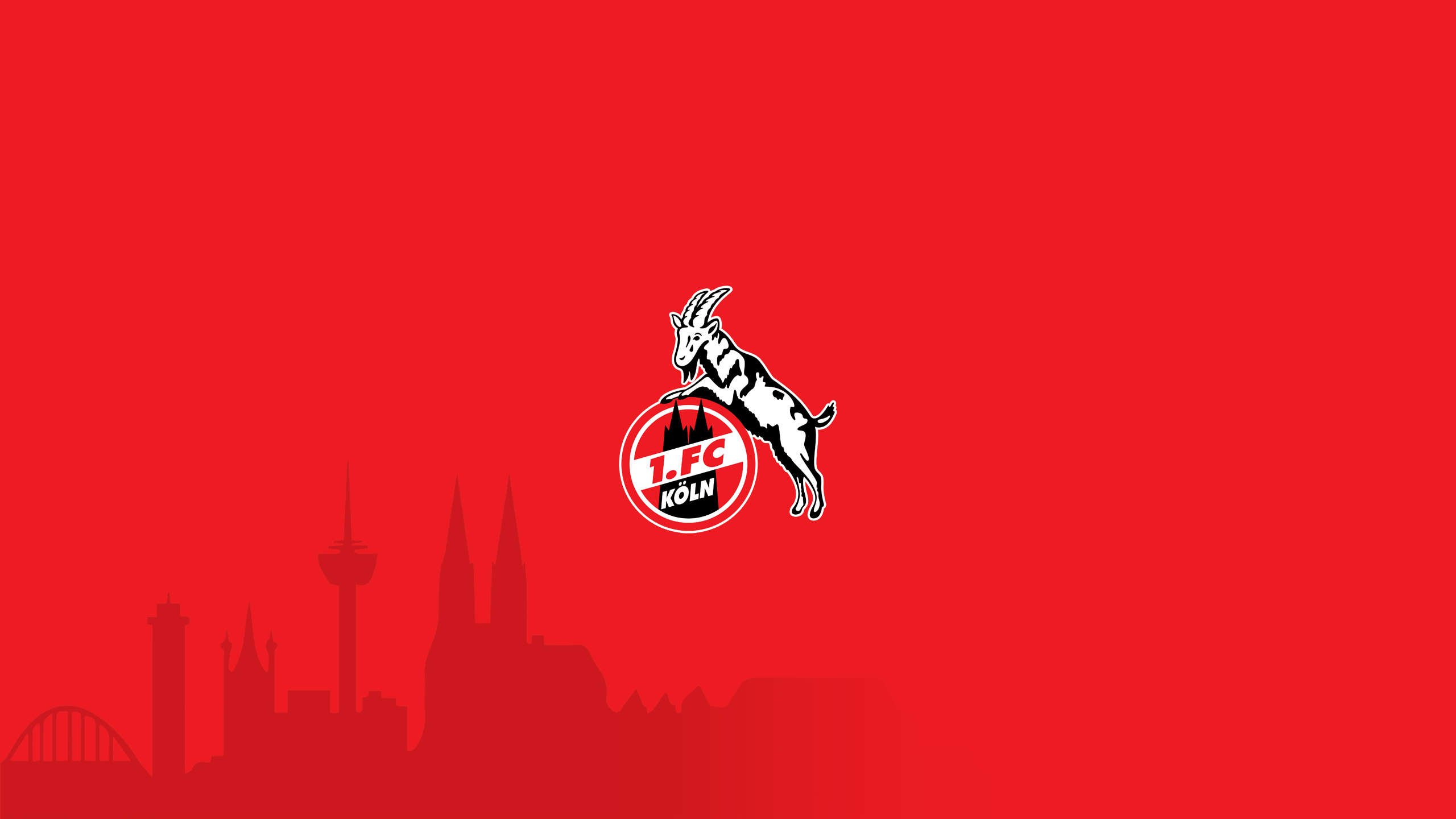 Sports 1. FC Köln HD Wallpaper | Background Image
