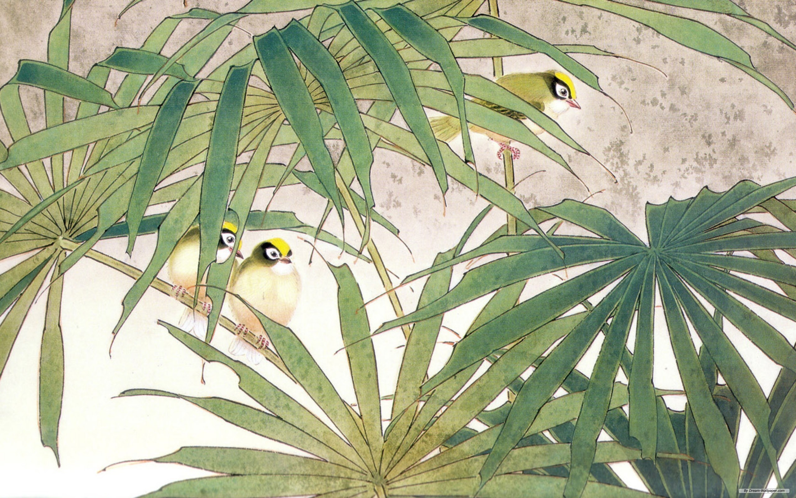 Animal Bird HD Wallpaper