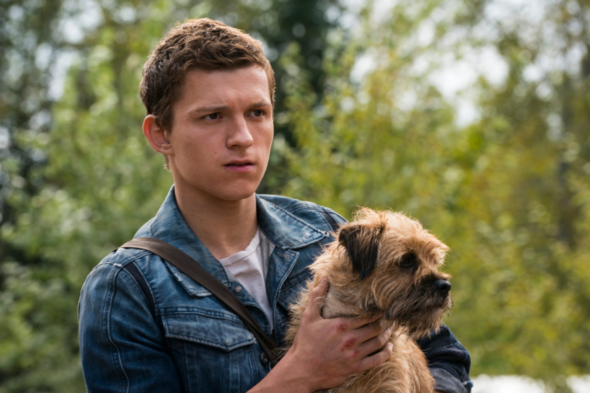 Download Todd Hewitt Tom Holland Movie Chaos Walking HD Wallpaper