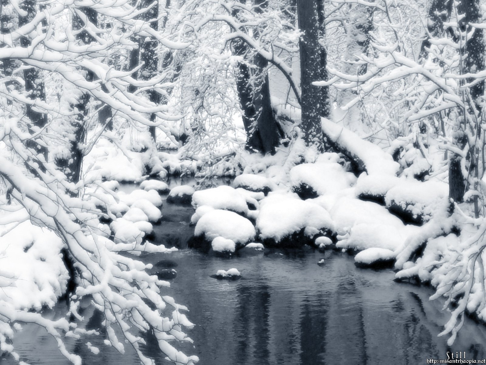 HD desktop wallpaper of a tranquil winter scene with a snow-covered forest and a calm stream flowing through it. The image captures the serene beauty of nature in winter.