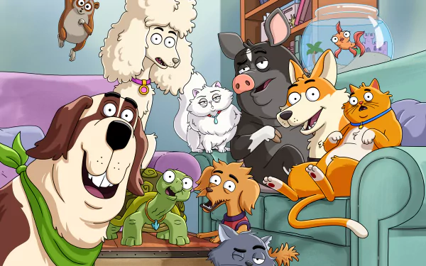 TV Show Housebroken HD Desktop Wallpaper | Background Image