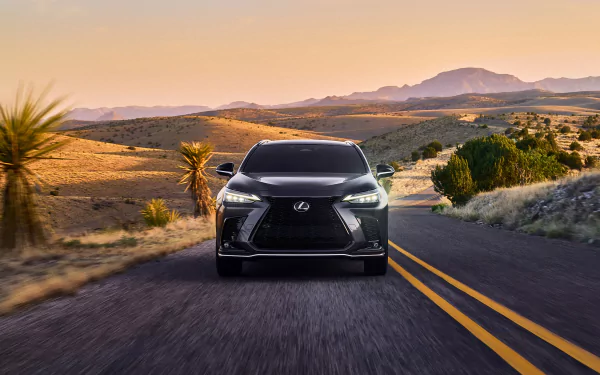  2022 Lexus NX F Sport