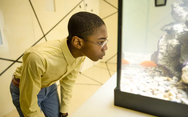 Seth Carr TV Show The Mysterious Benedict Society HD Desktop Wallpaper | Background Image