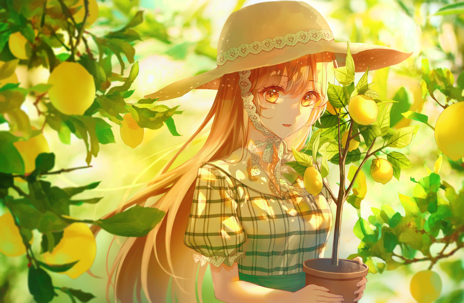 HD anime desktop wallpaper featuring a girl with long hair and a hat, surrounded by vibrant lemon trees in a sunlit garden setting.