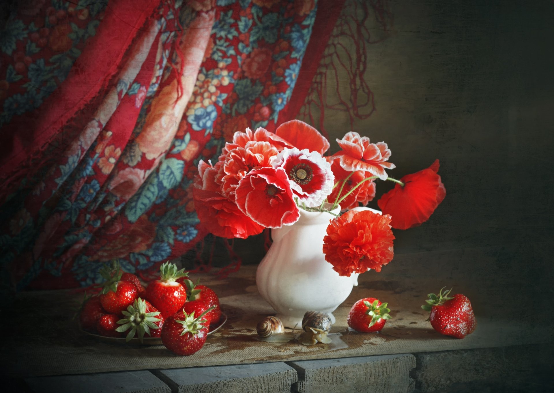 Download Flower Photography Still Life HD Wallpaper by Zimina Lionella