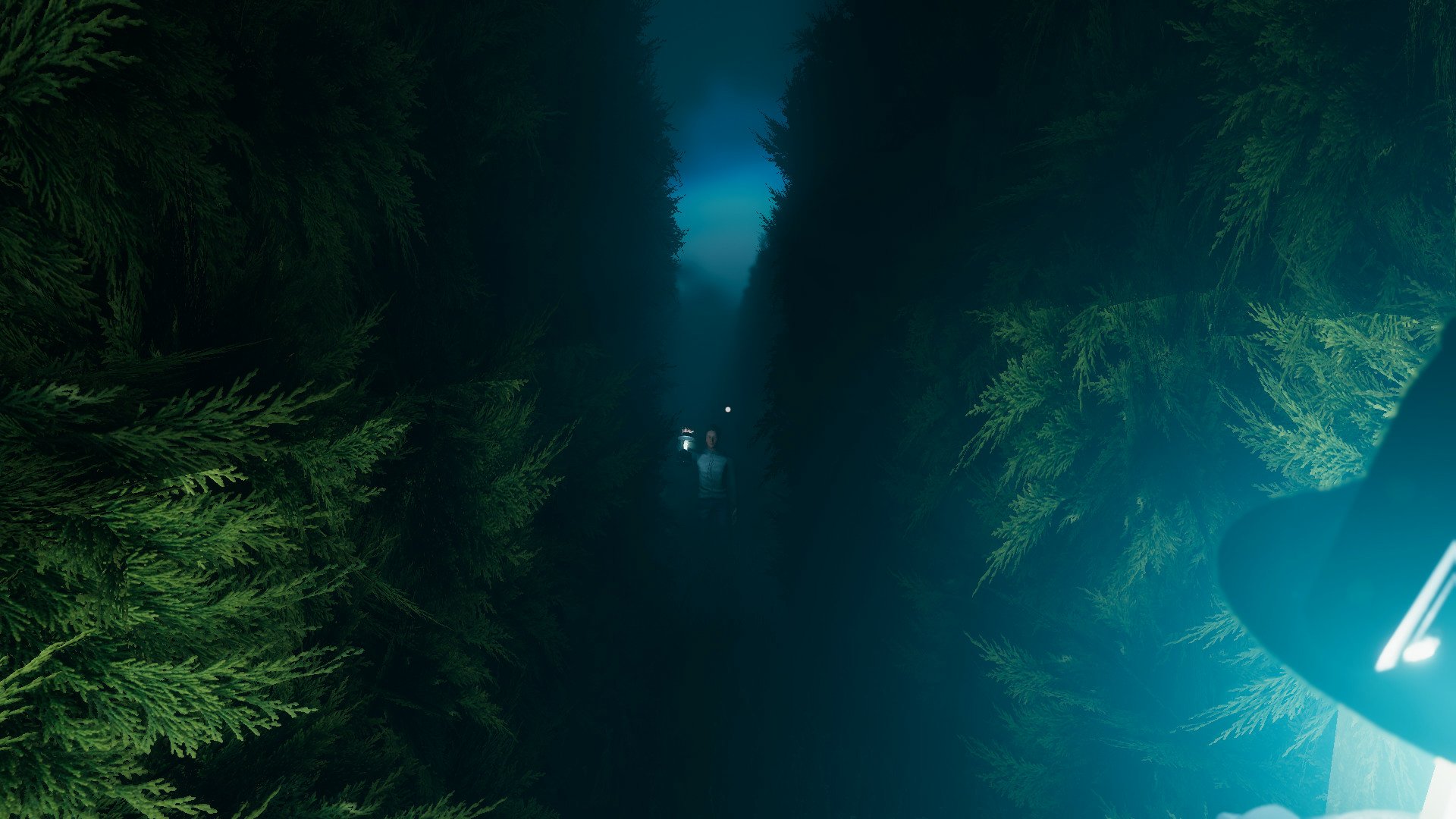 HD wallpaper featuring a labyrinthine path bordered by dense greenery with a subdued blue light at the end.