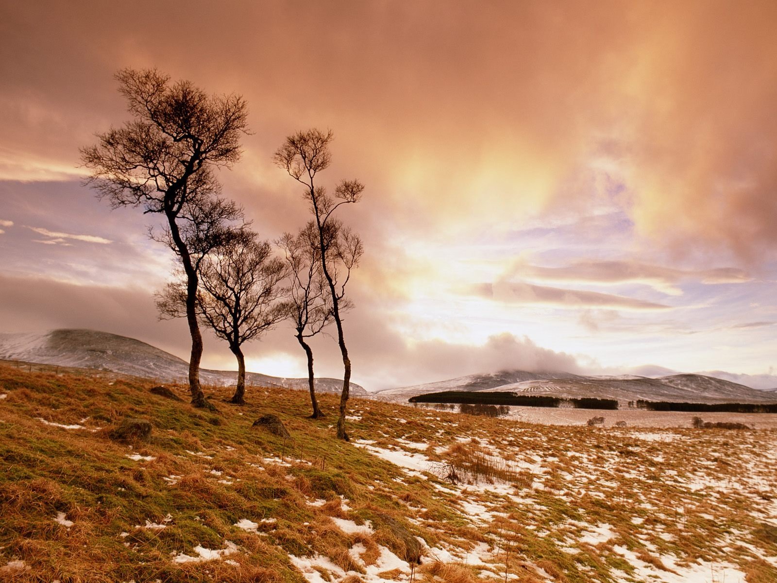 HD desktop wallpaper capturing a serene landscape with bare trees on a grassy hill under a dramatic, colorful sky at sunset in a natural setting.