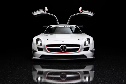  Mercedes-Benz SLS 63 AMG GT3 (C197)
