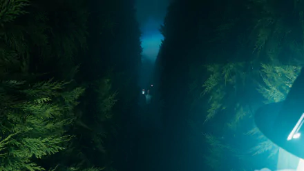 HD wallpaper featuring a labyrinthine path bordered by dense greenery with a subdued blue light at the end.