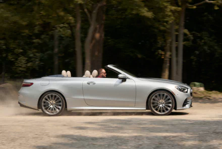  2021 Mercedes-Benz E 450 4MATIC AMG Line Cabrio (A238)