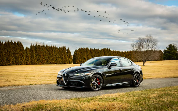vehicle Alfa Romeo Giulia Quadrifoglio HD Desktop Wallpaper | Background Image