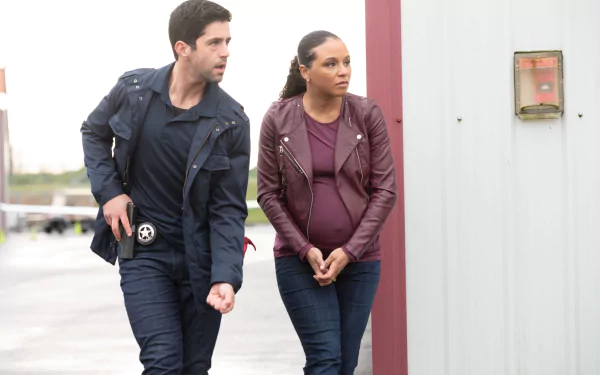 Carra Patterson Josh Peck TV Show Turner & Hooch HD Desktop Wallpaper | Background Image