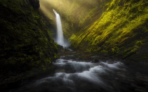 nature waterfall HD Desktop Wallpaper | Background Image