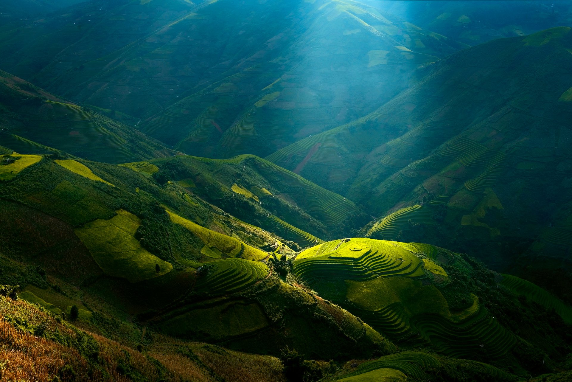 Rice Terrace HD Wallpaper