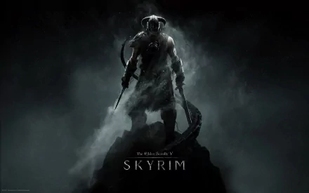 HD desktop wallpaper of The Elder Scrolls V: Skyrim, featuring a silhouetted figure in armor standing heroically against a smoky background.