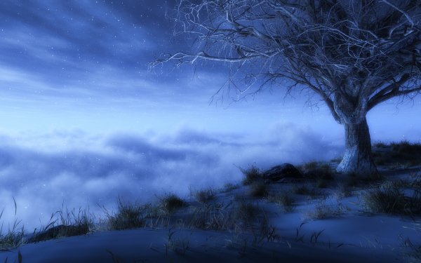 Fantasy Künstlerisch Baum Wolke Nebel Sterne Himmel Lonely Tree HD Wallpaper | Hintergrund