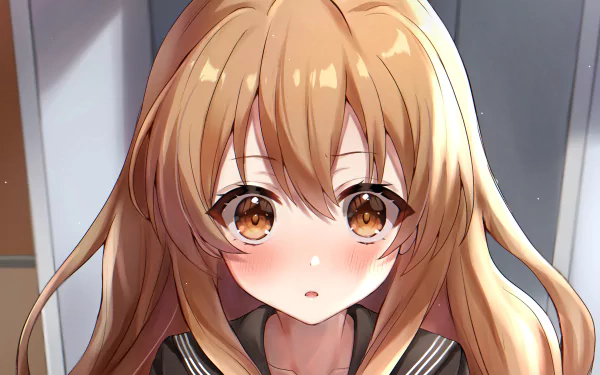 Taiga Aisaka Anime Toradora! HD Desktop Wallpaper | Background Image