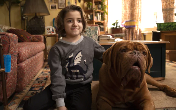 TV Show Turner & Hooch HD Desktop Wallpaper | Background Image