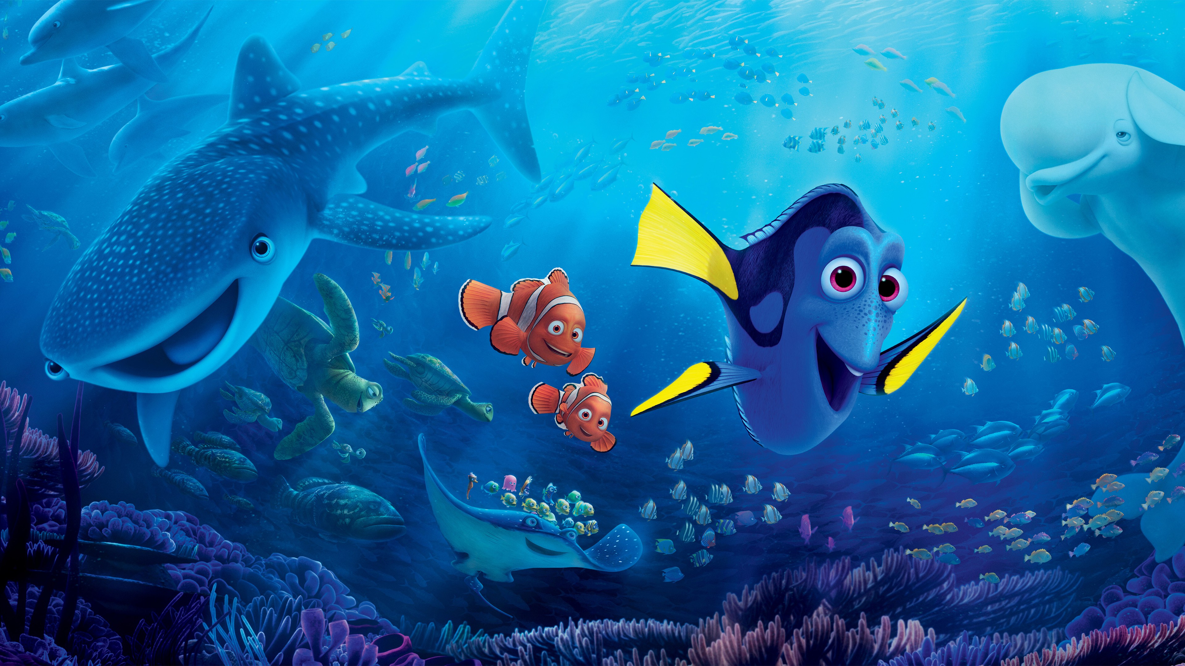 Finding Dory Wallpaper Finding Dory Wallpaper