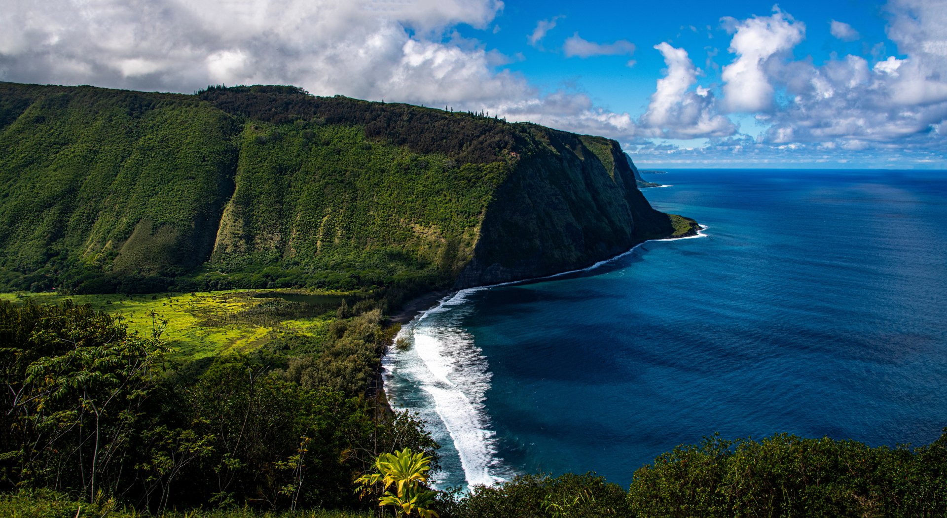 4K Ultra HD image of Hawaii’s lush coastline, featuring steep green cliffs meeting the deep blue ocean under a partly cloudy sky in the USA.