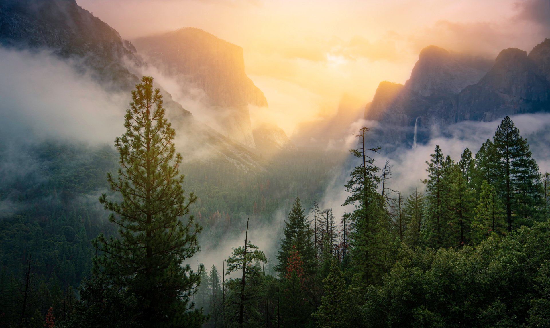 Sunrise over misty mountains and pine trees in Yosemite National Park, California, captured in stunning 4K Ultra HD.