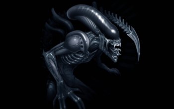 Alien Full HD Wallpaper and Background Image | 1920x1200 | ID:108189