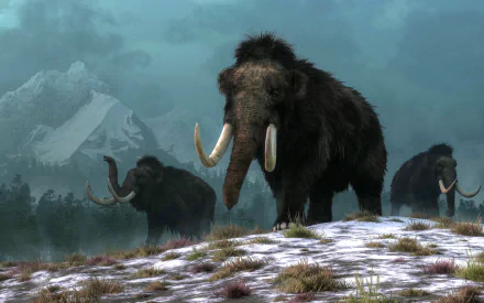 Animal mammoth HD Desktop Wallpaper | Background Image