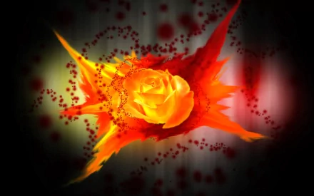  Rose Explosion 