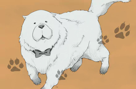 Bond (Spy x Family) Anime Spy x Family HD Desktop Wallpaper | Background Image